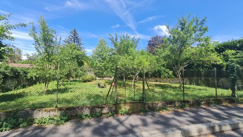 Image de terrain à Luzancy