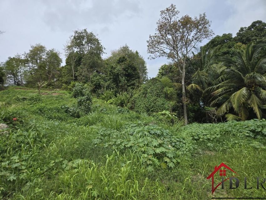 Image de terrain à Les Abymes