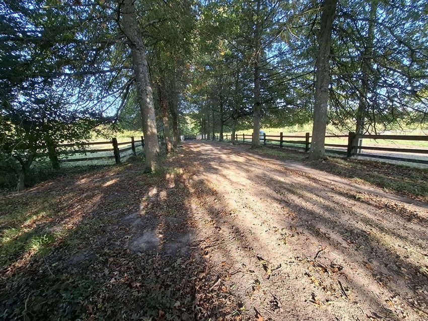 Image de terrain à Saint-Aquilin-de-Corbion