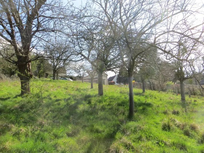 Image de terrain à Vire Normandie