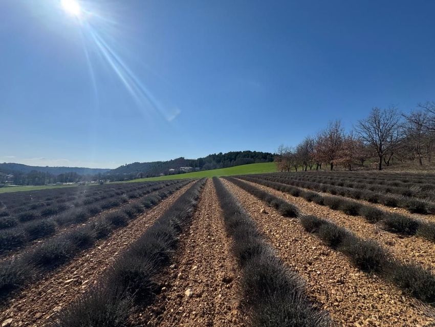 Image de terrain à Roumoules