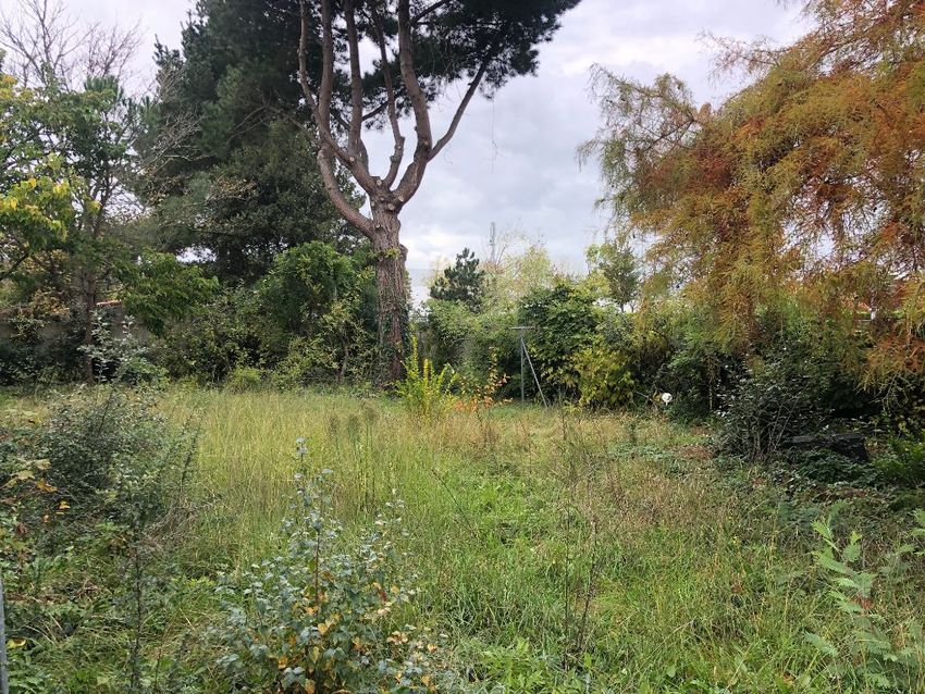 Image de terrain à La Baule-Escoublac