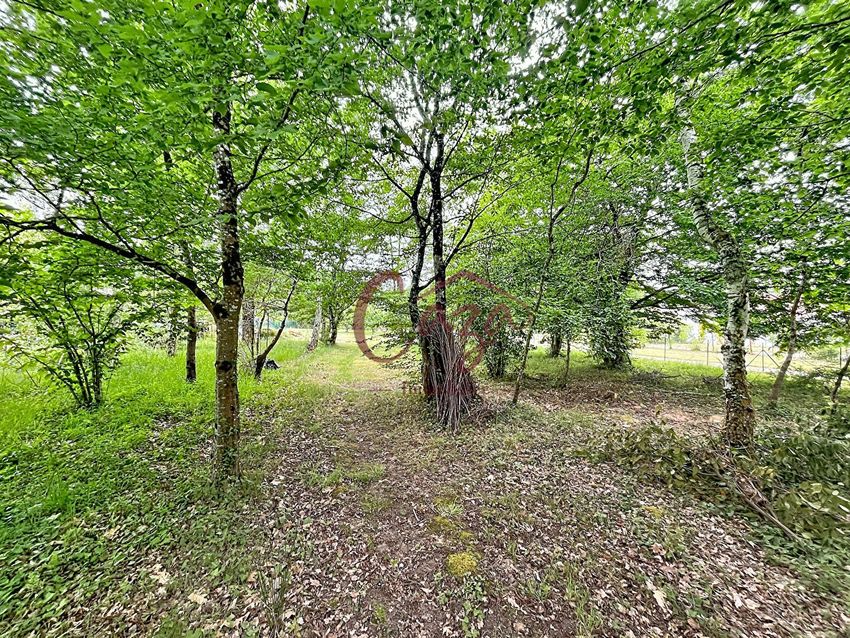 Image de terrain à Sadirac