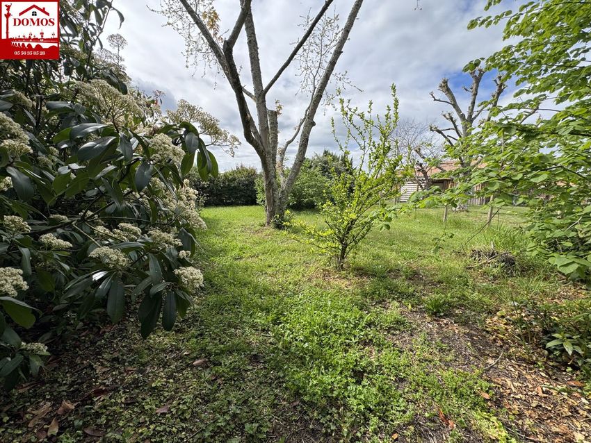 Image de terrain à Parempuyre
