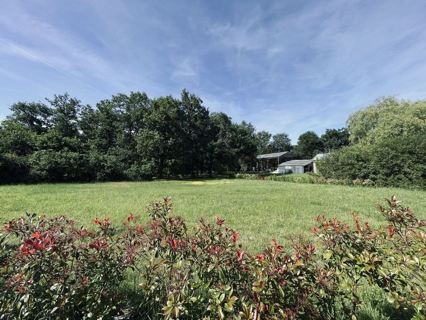 Image de terrain à Fontaines-en-Sologne