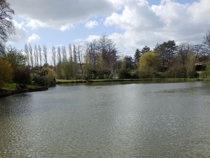 Image Jardin à  maison individuelle de Saint-Berthevin