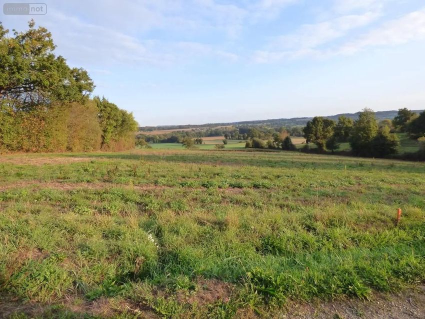 Image de terrain à Pléchâtel
