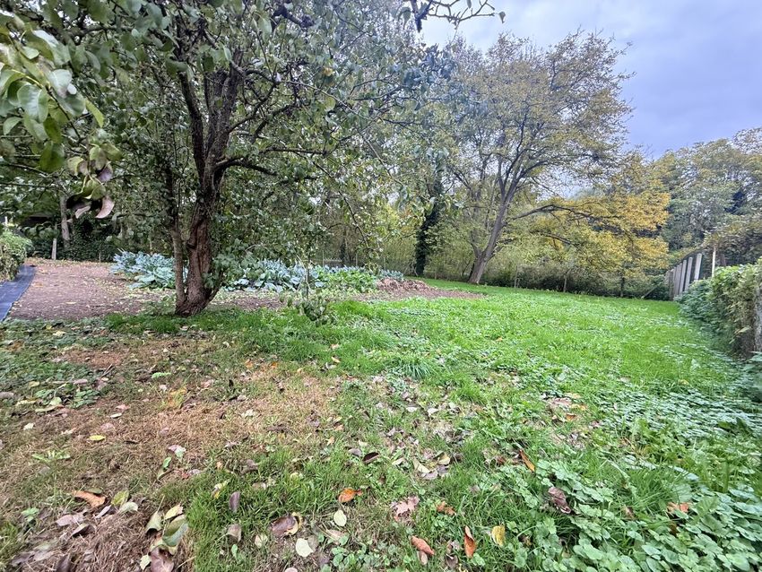 Image Jardin à  maison individuelle de Breuil-le-Vert