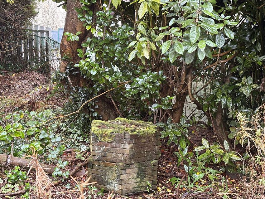 Image Jardin à  maison individuelle de Plounéour-Ménez