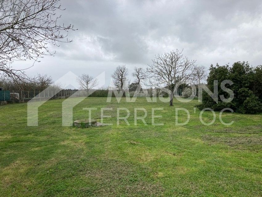 Image de terrain à Plaisance-du-Touch
