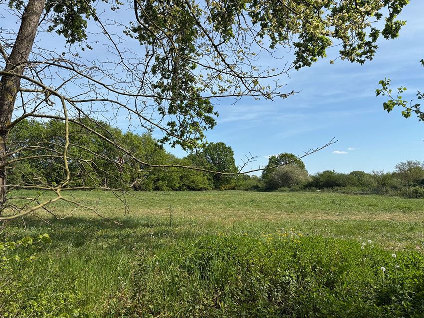 Image de terrain à Écuillé