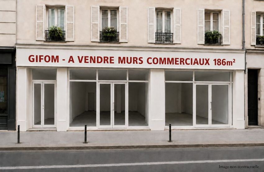 Image Vue à local de Nation-Alexandre Dumas