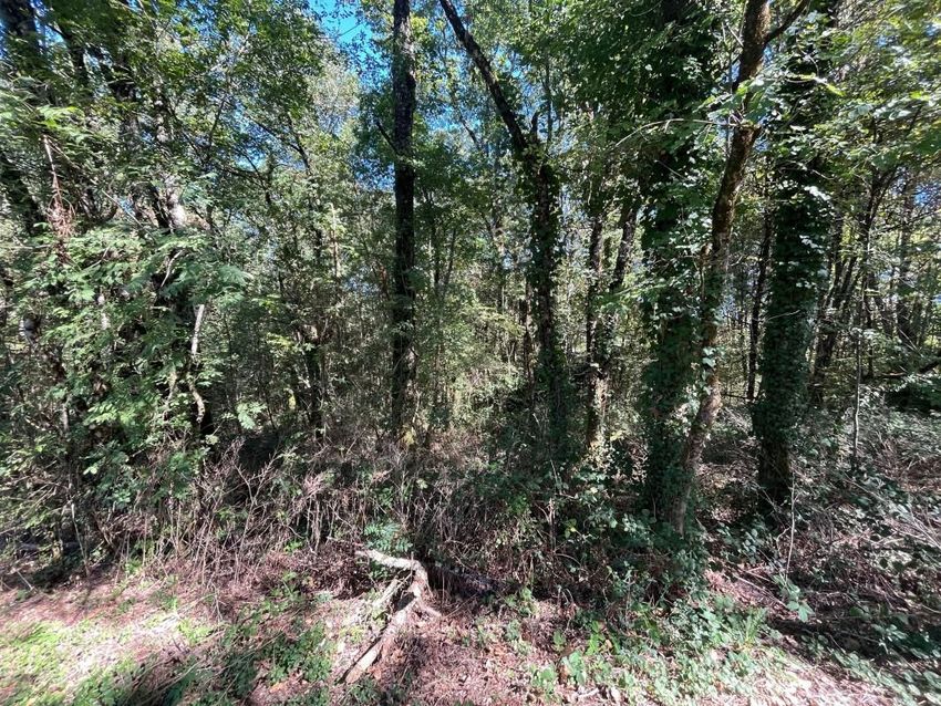 Image de terrain à Ussac