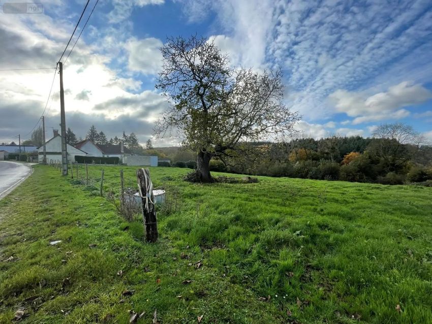 Image de terrain à Millebosc