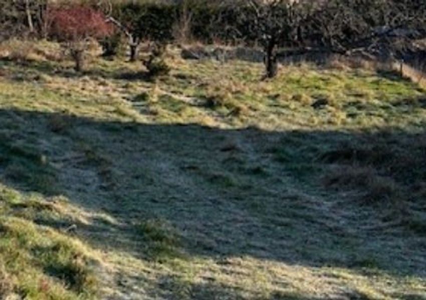 Image de terrain à Davézieux