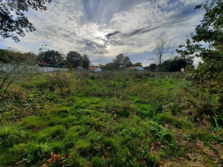 Image Vue à terrain de Saint-Hilaire-de-Riez
