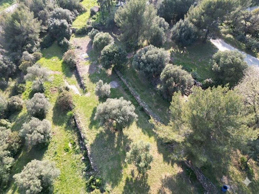 Image de terrain à Ollioules