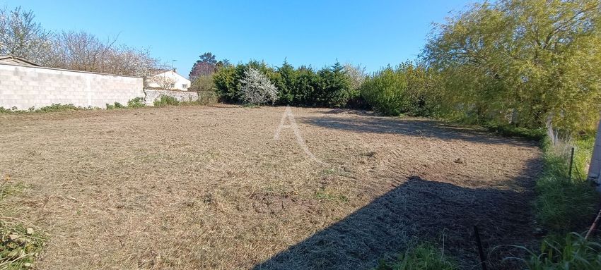 Image de terrain à Moëze