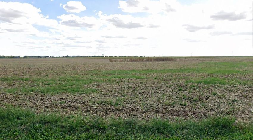 Image de terrain à Boissy-la-Rivière