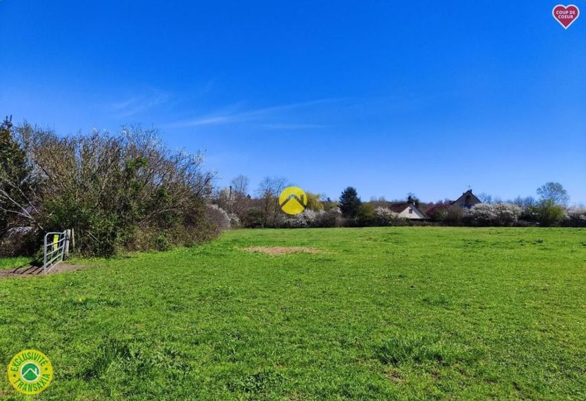 Image de terrain à La Guerche-sur-l'Aubois