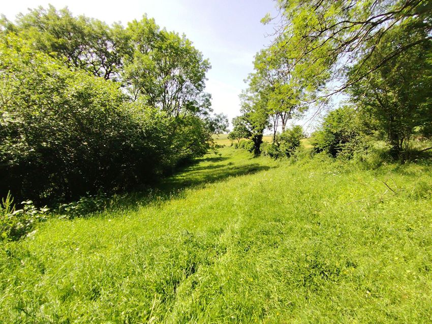 Image de terrain à Condé-en-Normandie