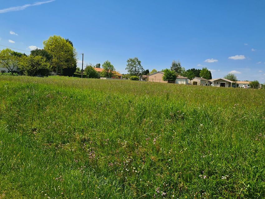 Image de terrain à Montpon-Ménestérol