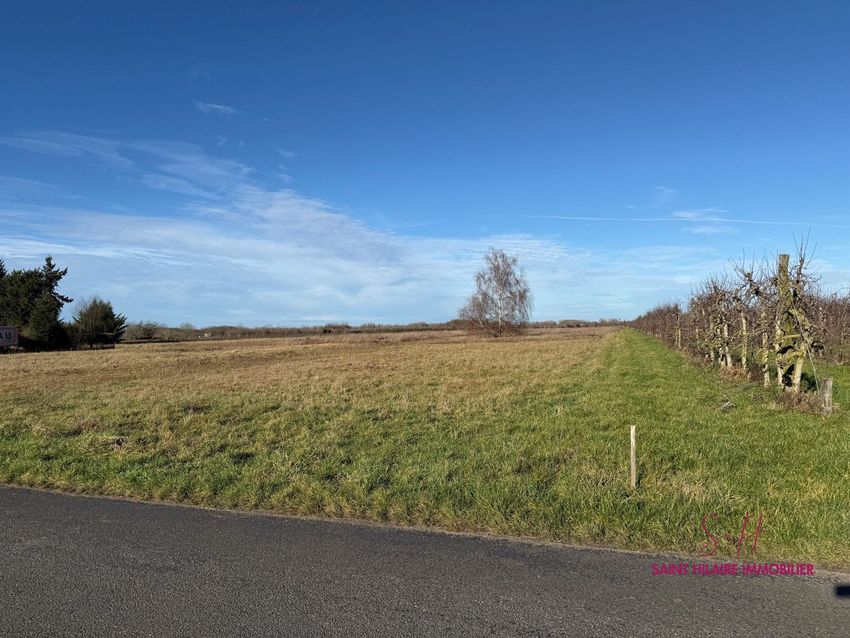 Image de terrain à Saint-Hilaire-Saint-Mesmin