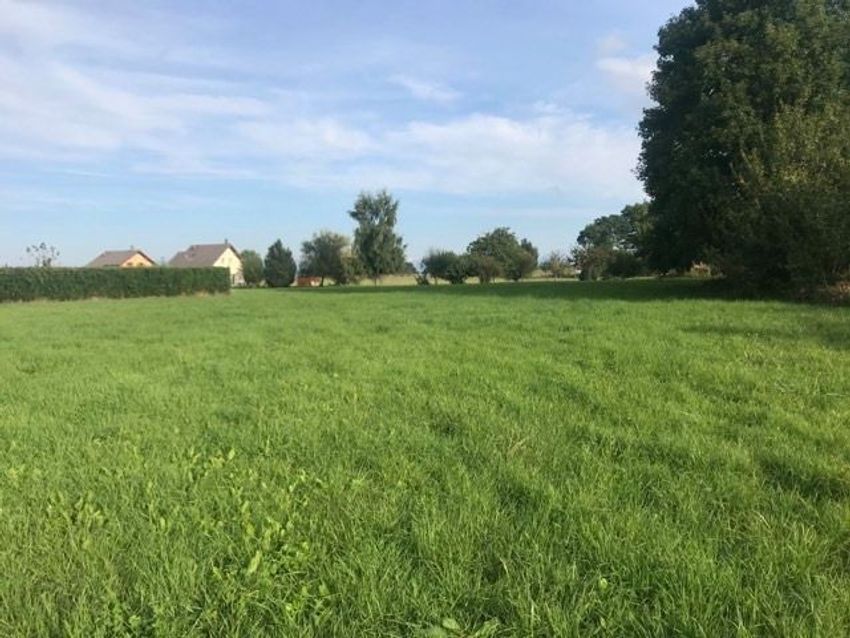 Image Jardin à  maison individuelle de Droisy