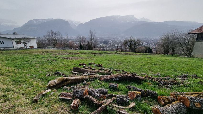 Image de terrain à Thyez