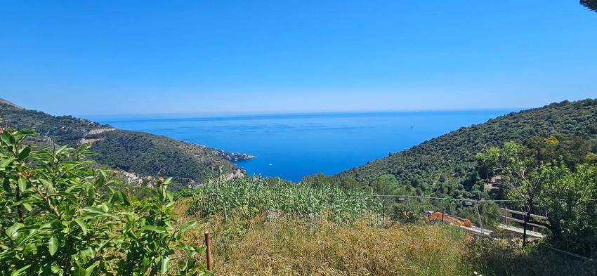 Image Vue à terrain de Èze