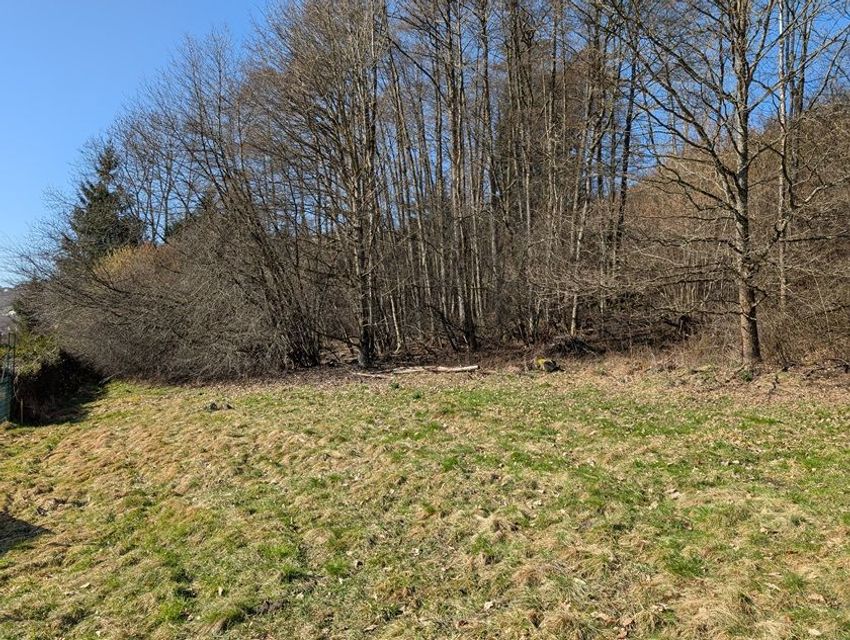 Image de terrain à La Bresse