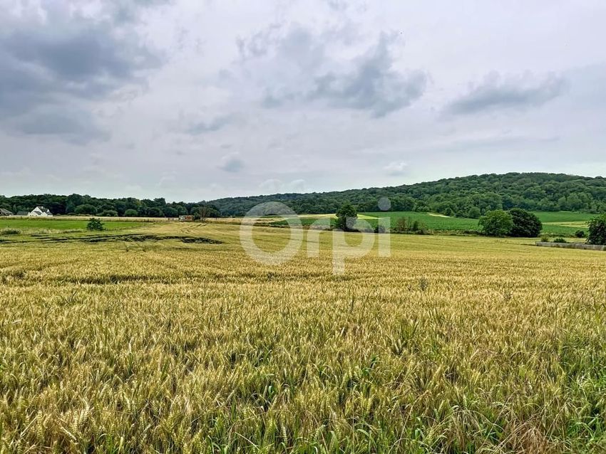Image de terrain à Sacy-le-Grand