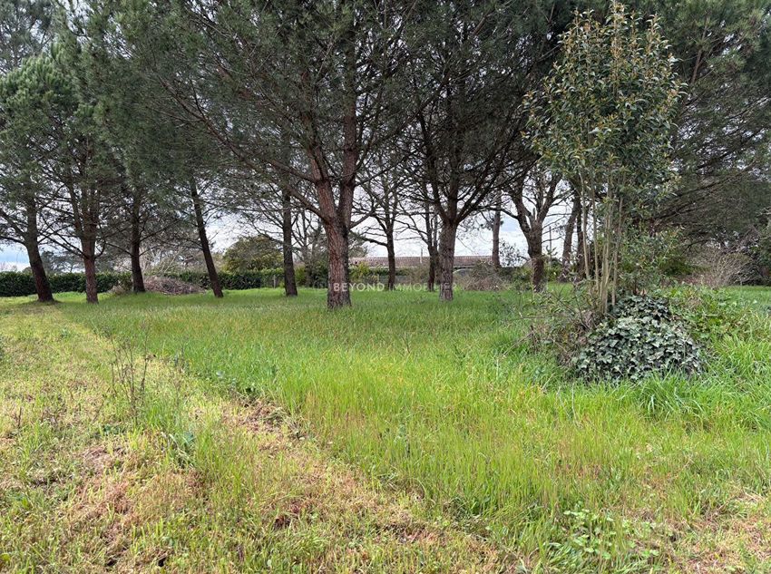 Image de terrain à Ambarès-et-Lagrave