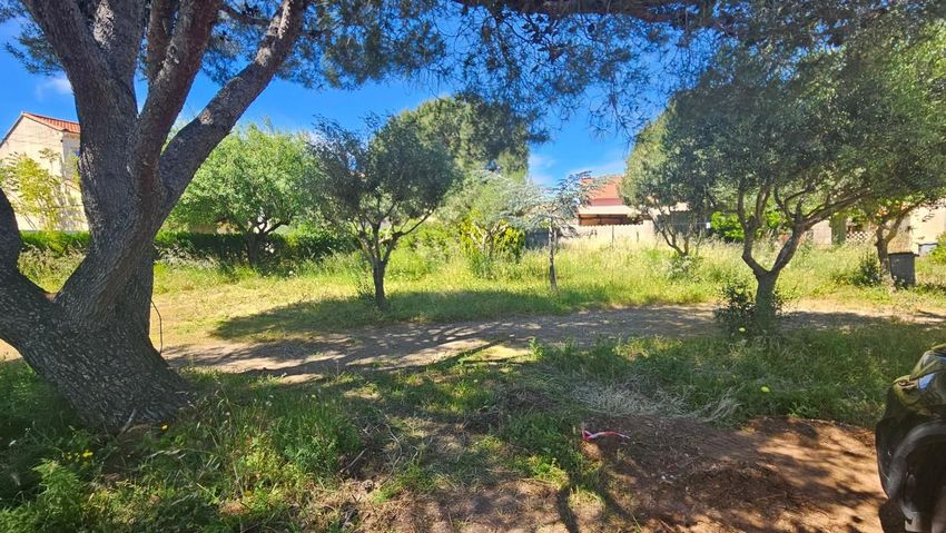 Image de terrain à La Seyne-sur-Mer