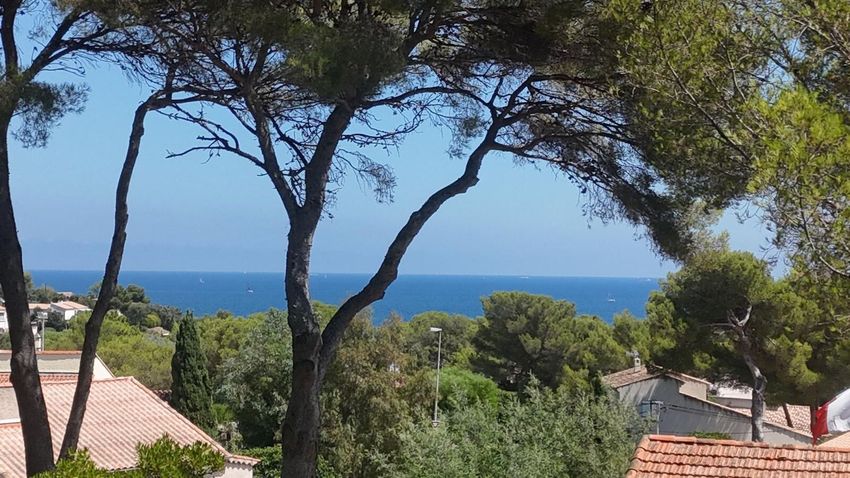 Image Vue à terrain de Roquebrune-sur-Argens