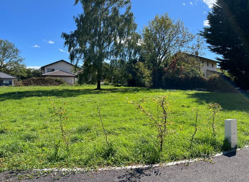Image de terrain à Nernier