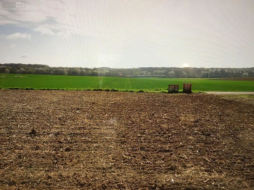 Image de terrain à Bois-lès-Pargny