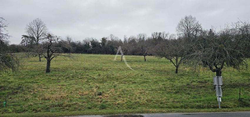 Image de terrain à Saint-Cyr-sur-Morin