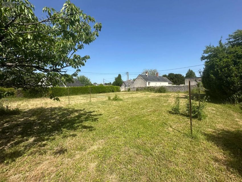 Image de terrain à Pontlevoy