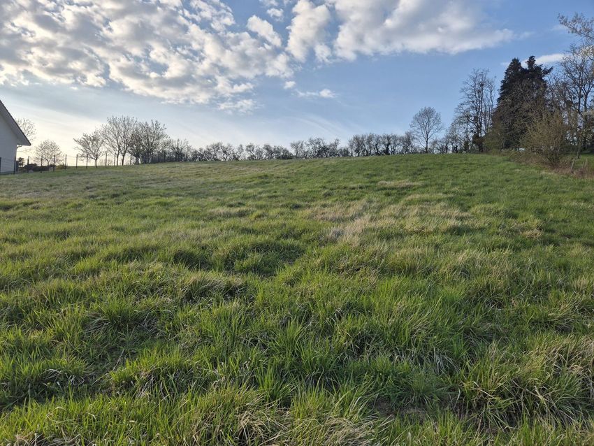 Image de terrain à Lons-le-Saunier