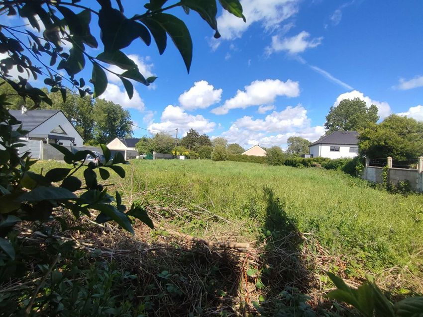 Image de terrain à Coulogne