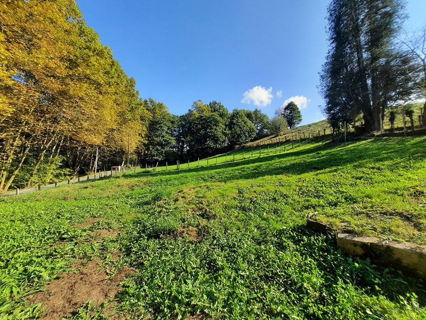 Image de terrain à Sare