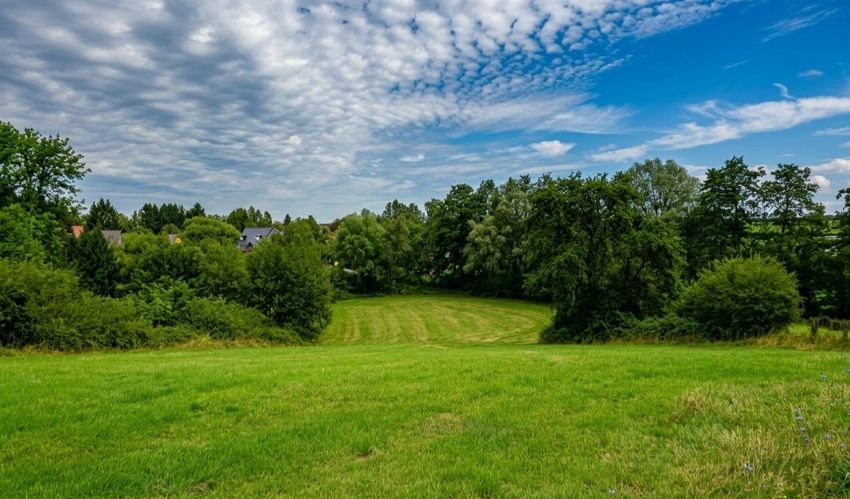 Image de terrain à Avesnes-sur-Helpe