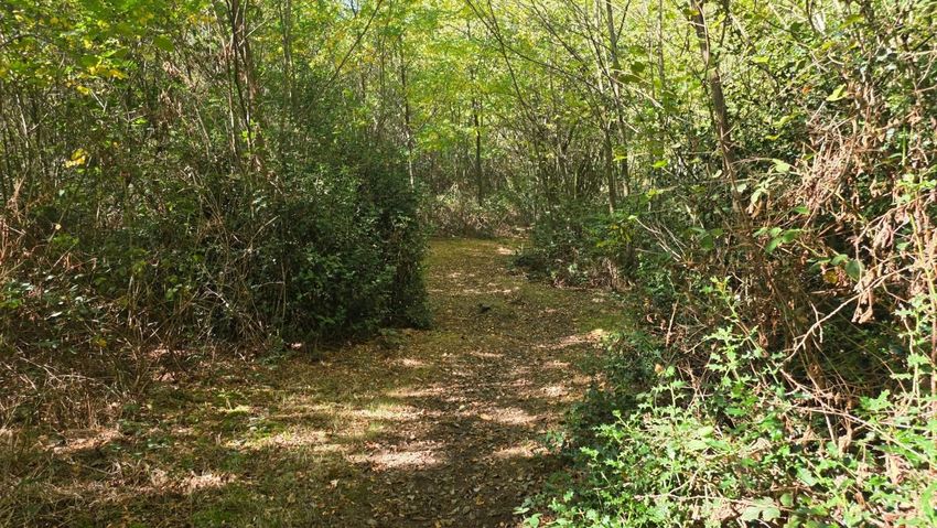 Image de terrain à Capvern