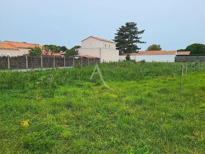 Image de terrain à Notre-Dame-de-Monts