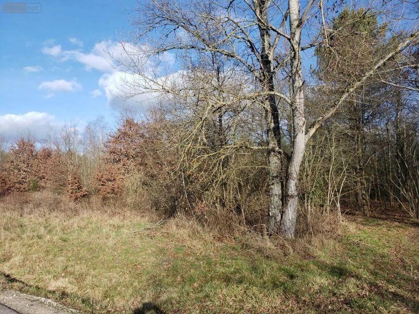 Image de terrain à Romorantin-Lanthenay