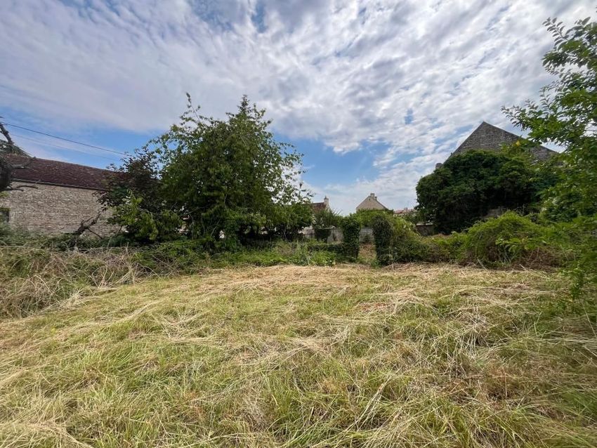Image de terrain à Condé-sur-Ifs