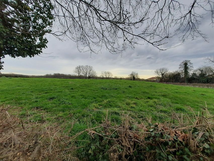 Image de terrain à Foissiat