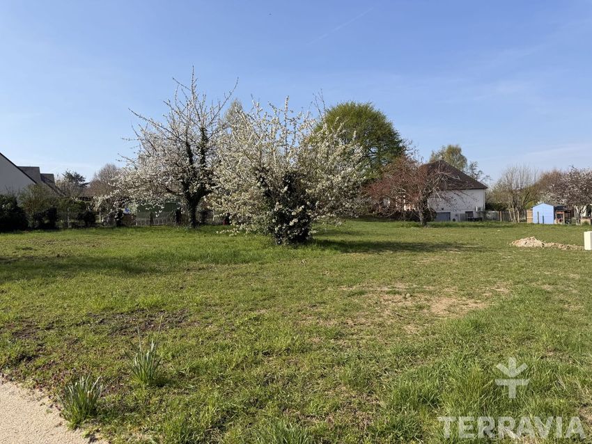 Image de terrain à 6 Rue de la Moissonnière