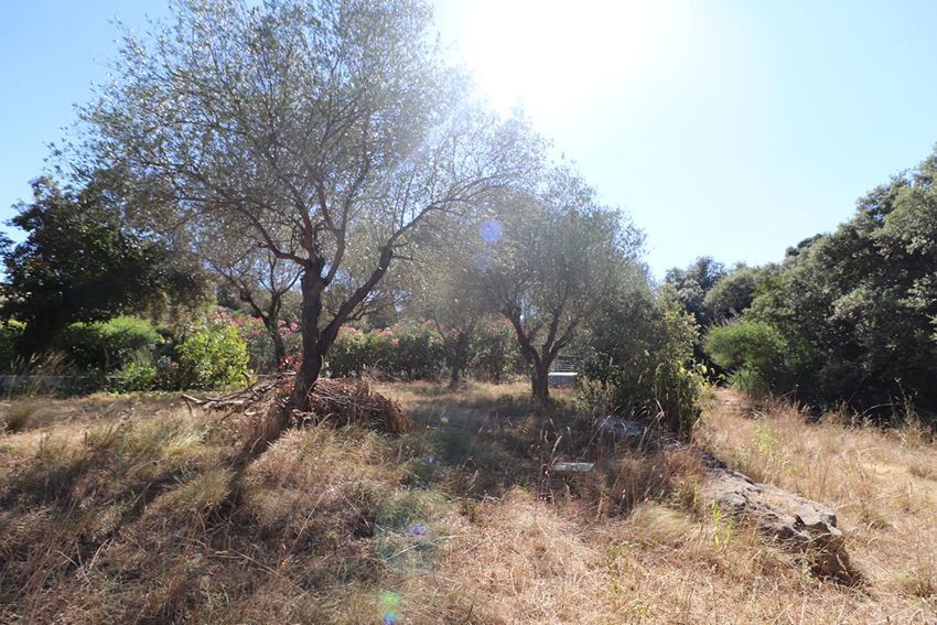 Image de terrain à Boisseron